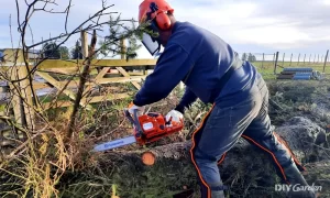 Discover the Best Father’s Day Gifts at Great Lakes Ace in Lake Orion, MI