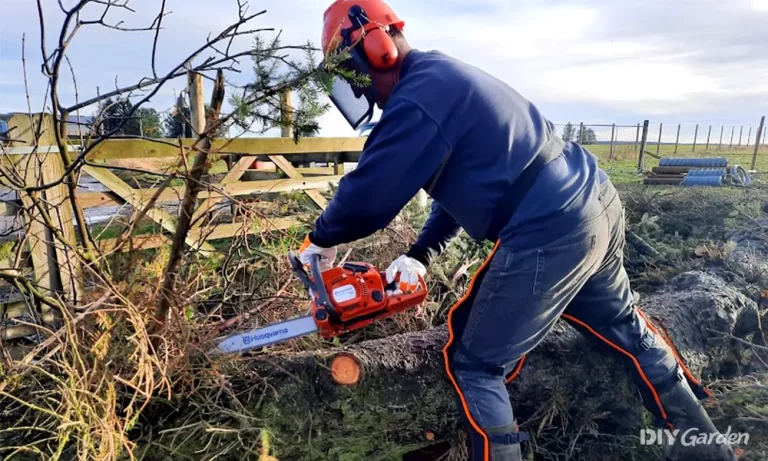 Discover the Best Father’s Day Gifts at Great Lakes Ace in Lake Orion, MI